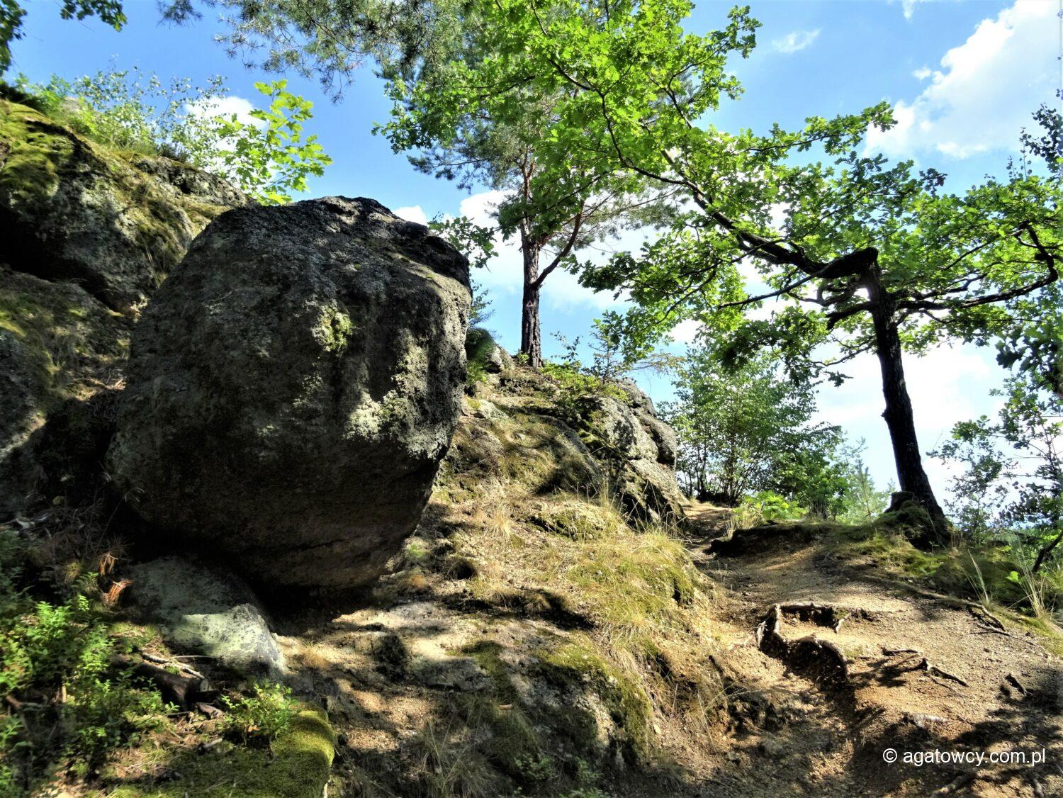 Wzgórza Łomnickie